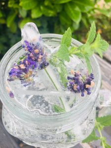 Lavendel Eiswürfel